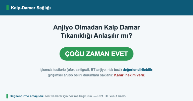 Anjiyo olmadan kalp damar tıkanıklığı anlaşılır mı?