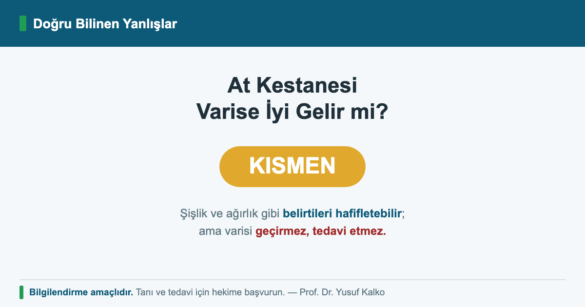 At Kestanesi Varise İyi Gelir mi?