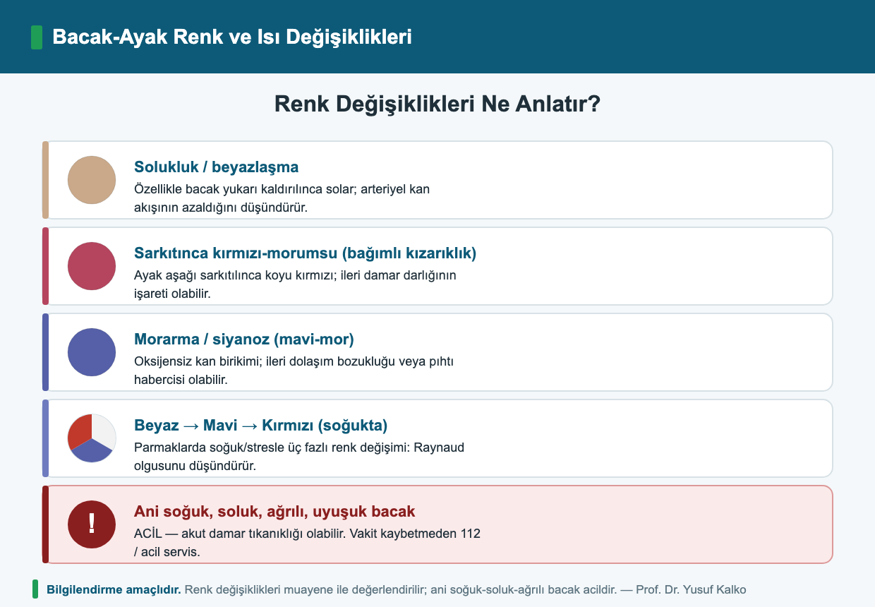 Bacakta Soğukluk ve Renk Değişikliği