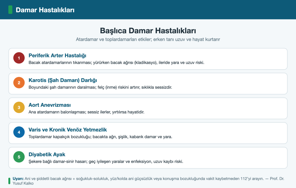 Başlıca damar hastalıkları: periferik arter, karotis darlığı, aort anevrizması, varis ve venöz yetmezlik, diyabetik ayak