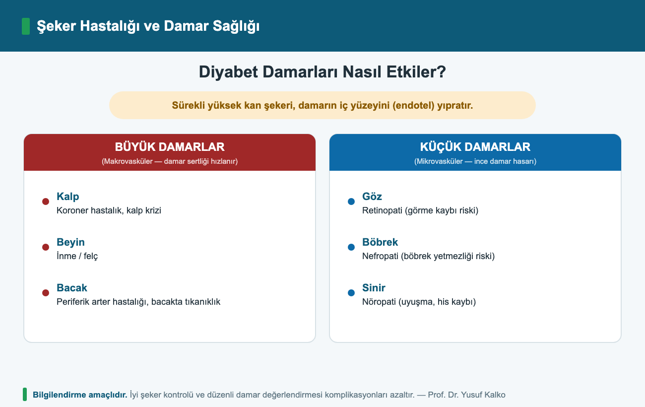 Diyabet Damarları Nasıl Etkiler?