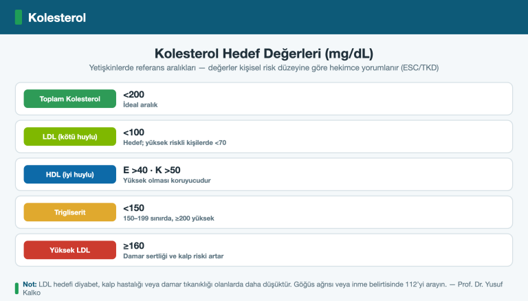 Kolesterol Yüksekliği