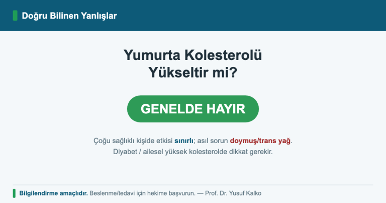 Yumurta Kolesterolü Yükseltir mi?
