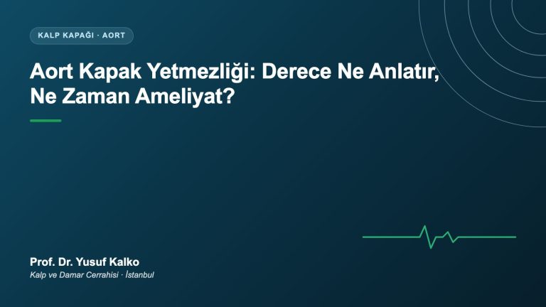 Aort Kapak Yetmezliği