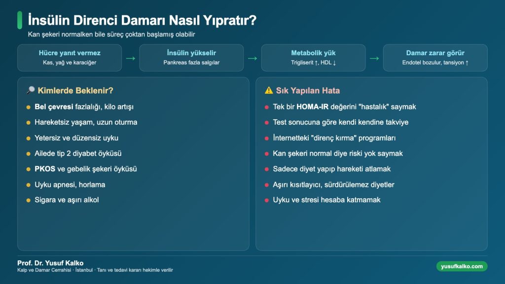İnsülin direncinin damara etkisi zinciri
