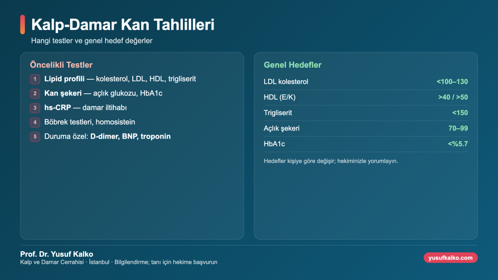 Kalp ve damar sağlığı için hangi kan tahlilleri yapılır infografiği