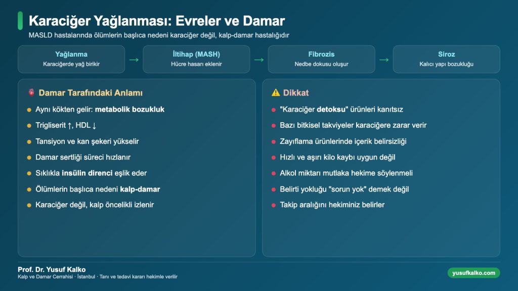 Karaciğer yağlanması evreleri ve damar ilişkisi