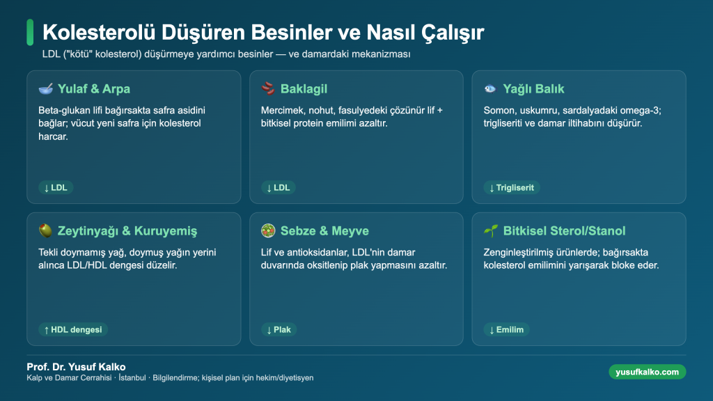 Kolesterolü düşüren besinler ve damardaki mekanizması: yulaf, baklagil, yağlı balık, zeytinyağı, sebze, bitkisel sterol