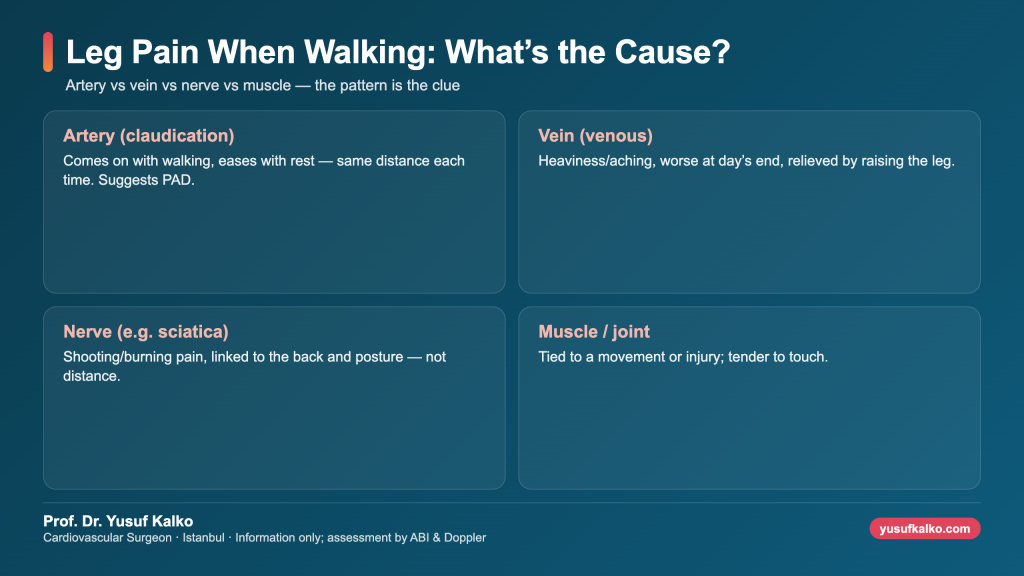 Leg pain when walking: telling apart artery, vein, nerve and muscle causes