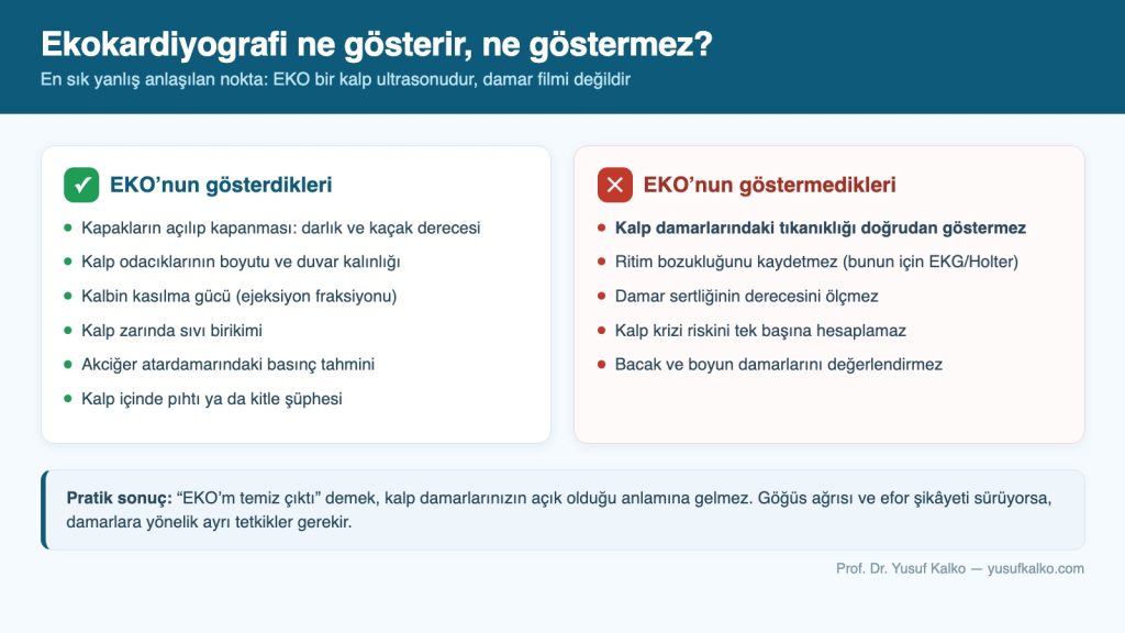Ekokardiyografinin gösterdiği ve göstermediği durumlar