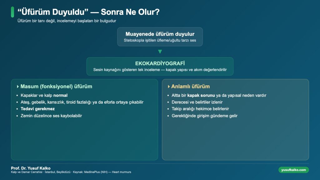 Üfürüm duyulunca izlenen yol: ekokardiyografi, masum üfürüm ve anlamlı üfürüm ayrımı