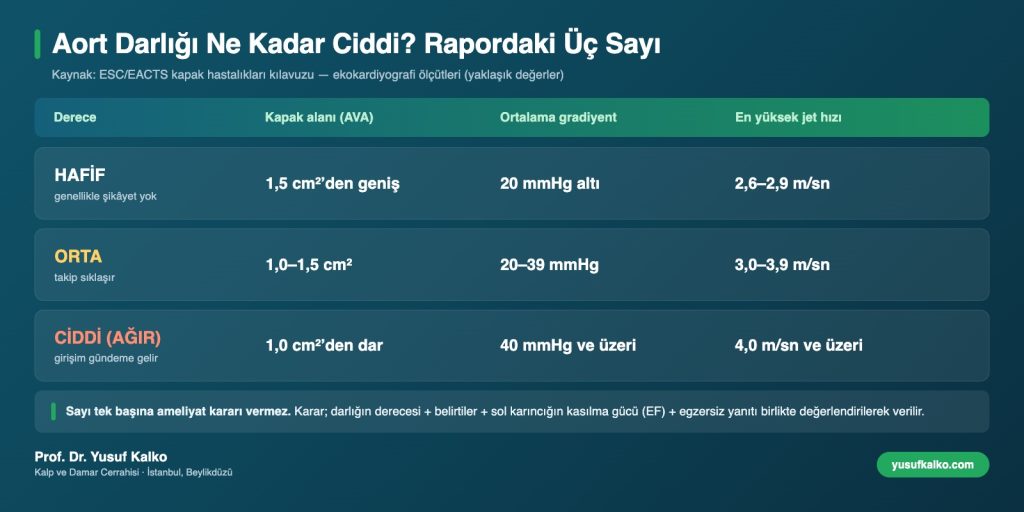 Aort kapak darlığı derecelendirme tablosu: hafif, orta ve ciddi darlıkta kapak alanı, ortalama gradiyent ve jet hızı değerleri