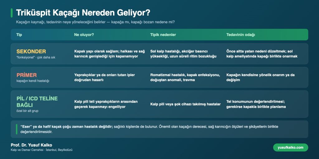 Triküspit kaçağının kaynakları: sekonder (fonksiyonel), primer kapak hastalığı ve kalp pili teline bağlı kaçak karşılaştırması
